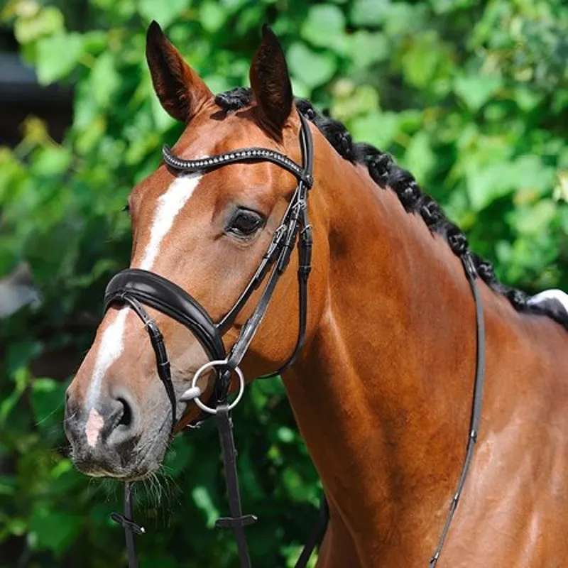 Passier Atlas Snaffle Bridle Black-2